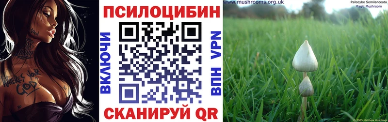 Галлюциногенные грибы Magic Shrooms  Анадырь 